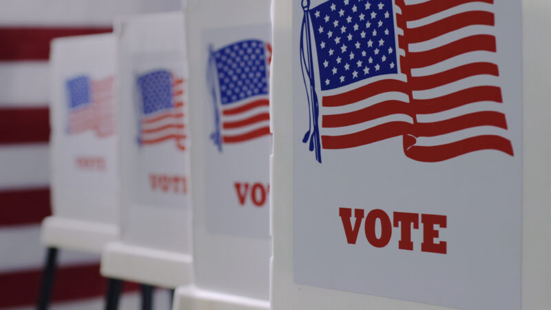 Voting booths lined up in a row.