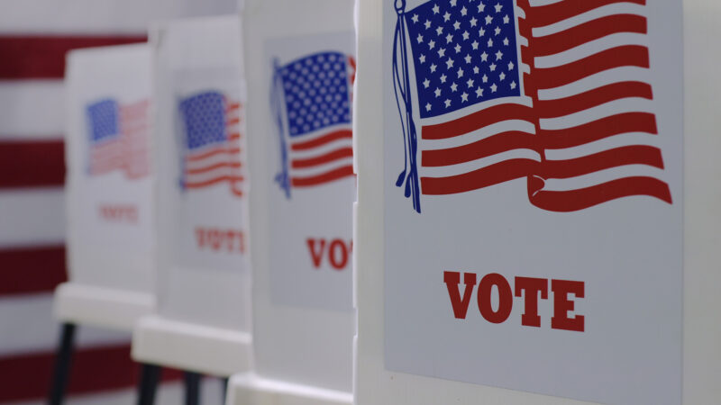 Voting booths lined up in a row.